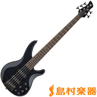 Ibanez/アイバニーズ SAR250QM ソフトケース付き エレキギター