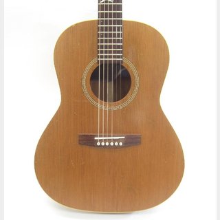 Seagullの検索結果【楽器検索デジマート】