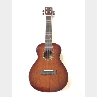 DCT Argus AC-5【コンサート】