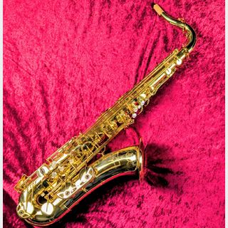 YANAGISAWA T-WO10 テナーサックス【現物画像】10/3更新