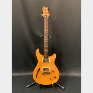 PRS SE Custom