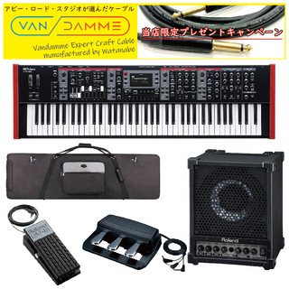 Roland V-STAGE76 STAGE KEYBOARD ◆数量限定[CM-30 Cube Monitor]超特別セット!