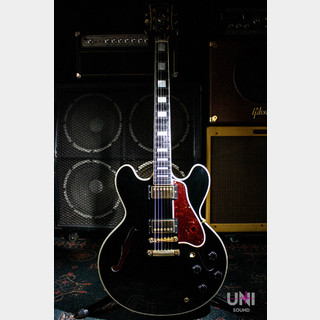 Gibson Custom Shop ES-355 / 2010