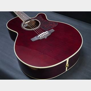 Takamine DMP-551C WR