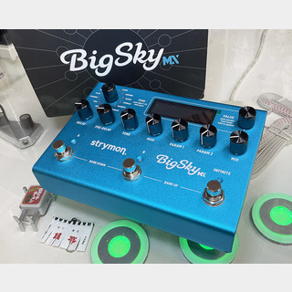 ギター用エフェクター、strymon、BigSkyの検索結果【楽器検索