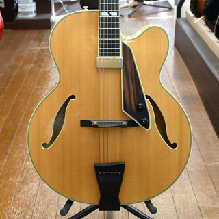 エレキギター、D'Aquistoの検索結果【楽器検索デジマート】