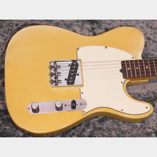 エレクトリックギター、Fender、Esquireの検索結果【楽器検索デジマート】