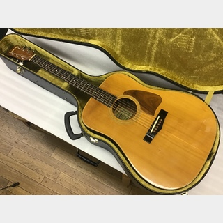 Ibanez AW-70D N