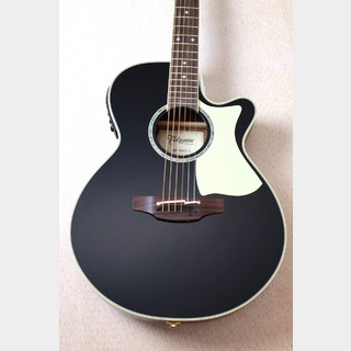 エレクトリック・アコースティックギター、Takamineの検索結果【楽器