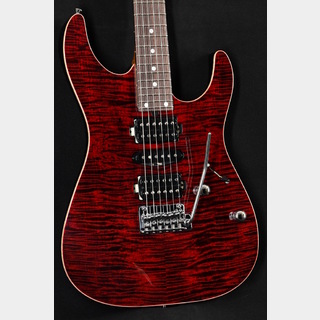 T's Guitars 【ご予約受付中】DST-Pro24 Type2 / Black Cherry 【2024福岡ギターショー出展モデル】