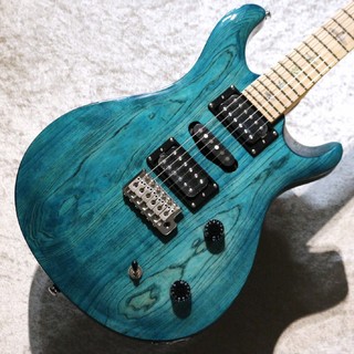 Paul Reed Smith(PRS) 【芸術的!良バック個体!】SE SWAMP ASH SPECIAL -Iri Blue- #F093310 【3.71Kg】