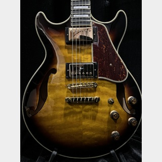 エレクトリックギター ＞ セミアコ、Ibanezの検索結果【楽器検索