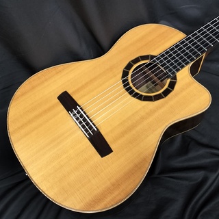 アコースティックギター／エレクトリック・アコースティックギター