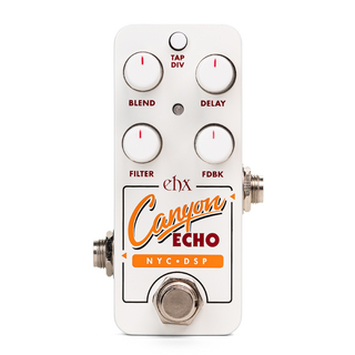 Electro-Harmonix PICO CANYON ECHO | DIGITAL DELAY【高機能小型デジタルディレイ】