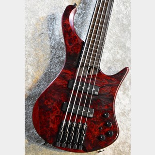 Ibanez EHB1505 -SWL  #I 240505049  【3.41Kg】Stained Wine Red Low Gloss【5弦】