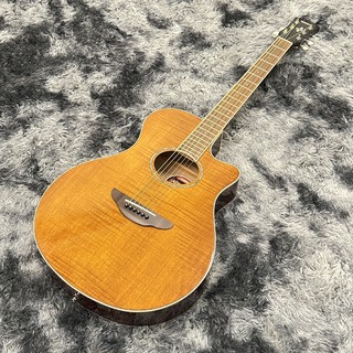 YAMAHA APX600FM/AM(アンバー)