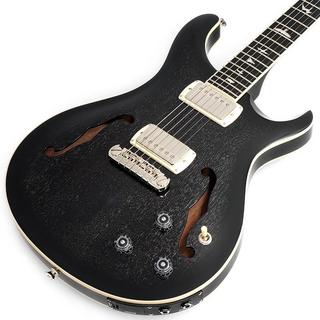 Paul Reed Smith(PRS)、SE standardの検索結果【楽器検索デジマート