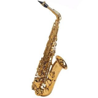 SELMER Paris アルトサクソフォン シュプレームの検索結果【楽器検索