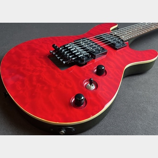 FERNANDES  APG-DLX 16 CR