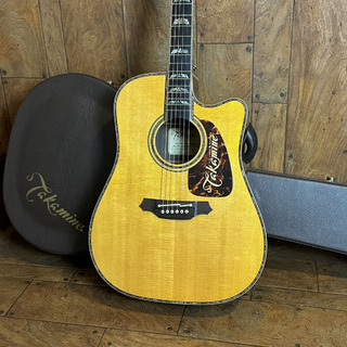 Takamine 200 Series Custom Order Model