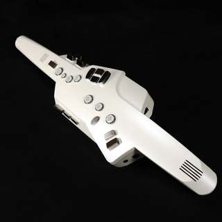 Roland AE-10 Aerophone 【梅田店】