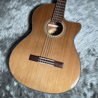 FenderCN-140SCE Nylon Thinline Natural エレガットギター ナチュラル シダー単板トップ ハードシェルケース付属