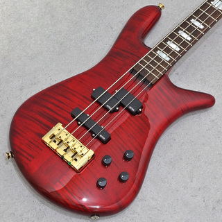 Spector Euro 4 LX PW Black Cherry Gloss 【48回まで分割金利手数料無料!】