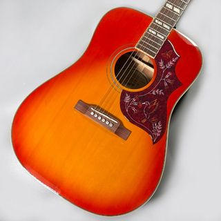 Epiphone、Hummingbird PROの検索結果【楽器検索デジマート】