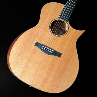 アコースティックギター／エレクトリック・アコースティックギター