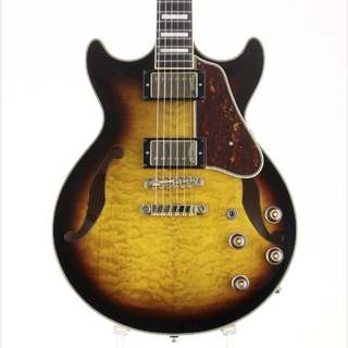 エレクトリックギター ＞ セミアコ、Ibanezの検索結果【楽器検索