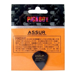 PICKBOY GP-AS/1 Assur Genuine Horn ギターピック×2枚