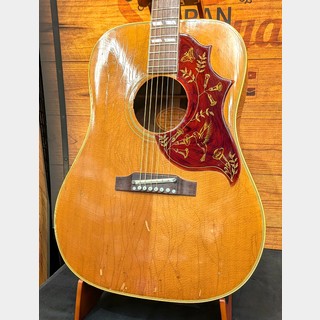 アコースティックギター、Gibson、Humming Birdの検索結果【楽器検索