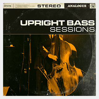 TOUCH LOOPS UPRIGHT BASS SESSIONS