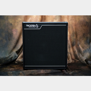 ベース用アンプ／アンプシミュレーター ＞ ベースアンプ（コンボ