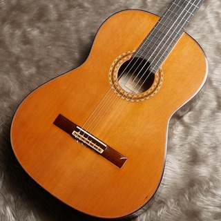 今井 勇一 Limited Model