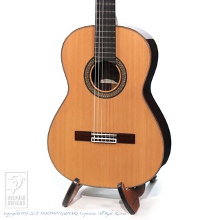 クラシック・ギター／フラメンコ・ギター、ASTURIASの検索結果【楽器