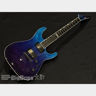 E-II HORIZON NT-Ⅱ/ Blue-Purple Gradation