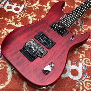 Washburn N24-NUNO VINTAGE PADAUK【現物画像】【11/1入荷】