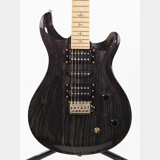 Paul Reed Smith(PRS)SE Swamp Ash Special 22 CH  (Charcoal)