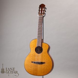 クラシック・ギターの検索結果【楽器検索デジマート】