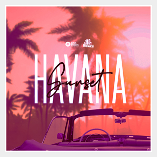 BLACK OCTOPUS BASEMENT FREAKS PRESENTS HAVANA SUNSET