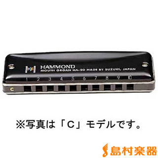 Hammond HAMMOND HA-20 D スズキ 10穴ハーモニカ