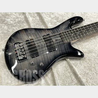 Spector Legend 5 Standard【Black Stain Gloss】