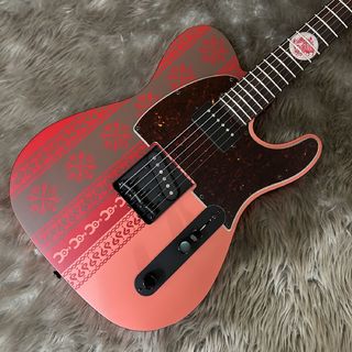 Fender、DOWNTOWN EXPRESSの検索結果【楽器検索デジマート】