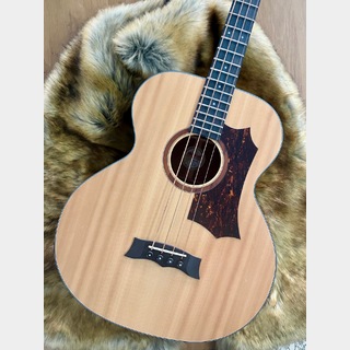 アコースティック・ベース／エレアコ・ベースの検索結果【楽器検索 