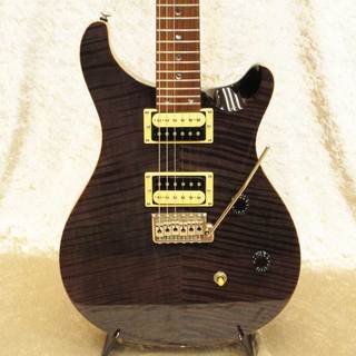 Paul Reed Smith(PRS)SE Custom 24