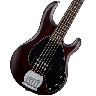 Sterling by MUSIC MAN SUB Series Ray5 Walnut Satin スターリン ミュージックマン【渋谷店】