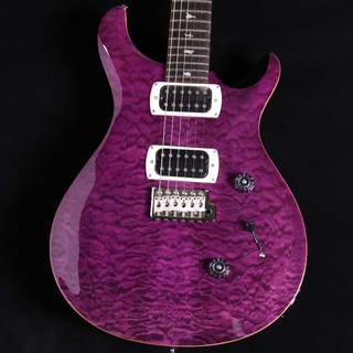 エレクトリックギター、Paul Reed Smith(PRS)、CUSTOM 24の検索結果