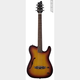 SCHECTER OL-FL-N-P TBS