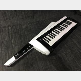 KORG RK-100S 2